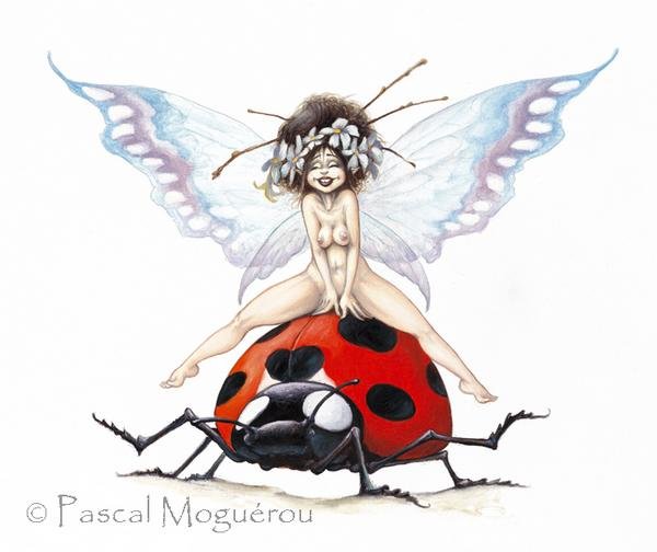 ПМ - оригинал