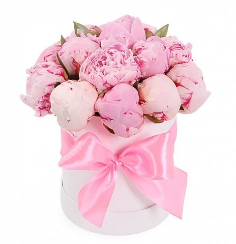 букет пионов - пионы, нежность, букет, любовь - оригинал