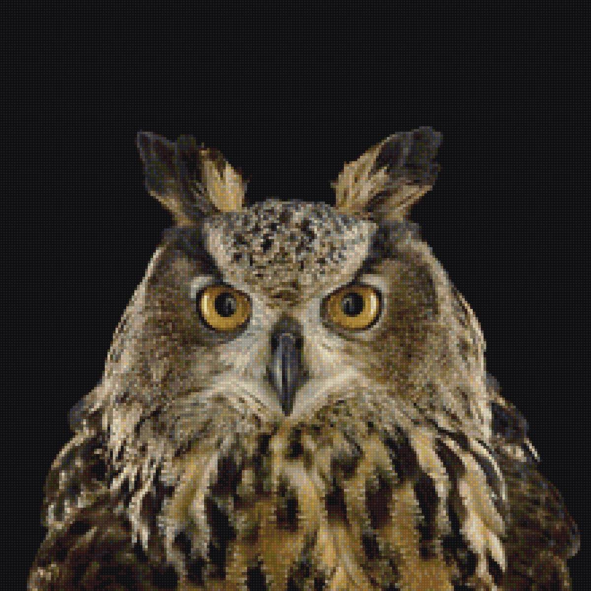 Филин - сова, природа, птица, филин - предпросмотр