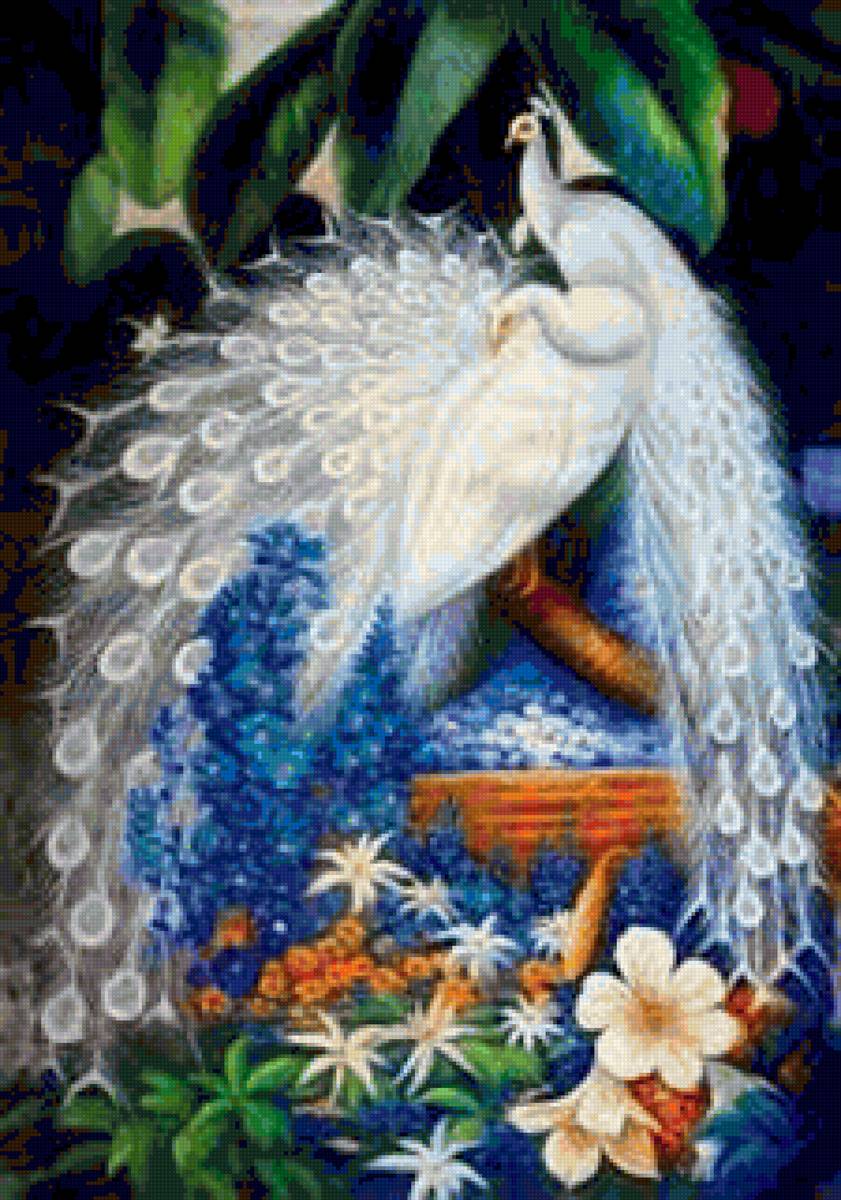 BELI PAUNI - pauni - предпросмотр