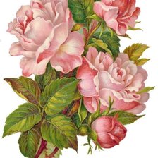 Схема вышивки «№1475277»