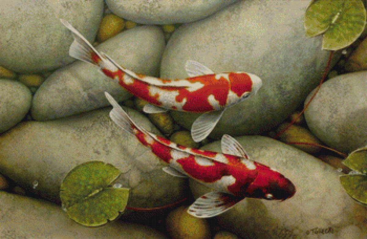 карпики - предпросмотр