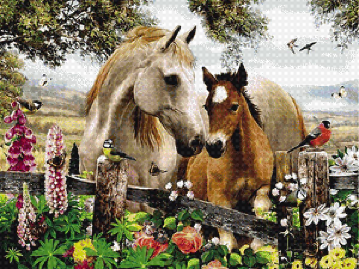 лошадь - лето, лошадь - предпросмотр