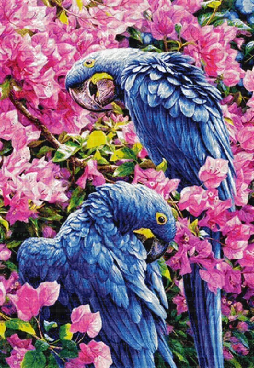 №1475929 - предпросмотр