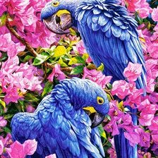 Схема вышивки «№1475929»