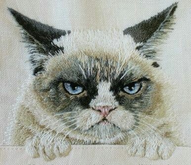 Grumpy cat - cat, grumpy cat - оригинал