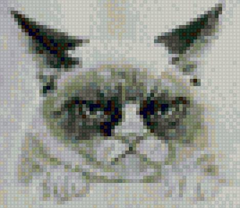 Grumpy cat - grumpy cat, cat - предпросмотр