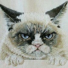 Схема вышивки «Grumpy cat»