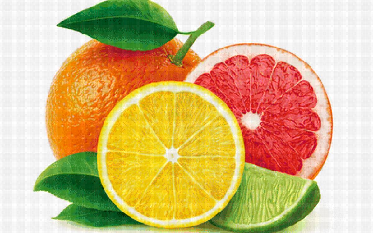 Цитрусовые - грейпфрут, лимон, лайм, апельсин - предпросмотр