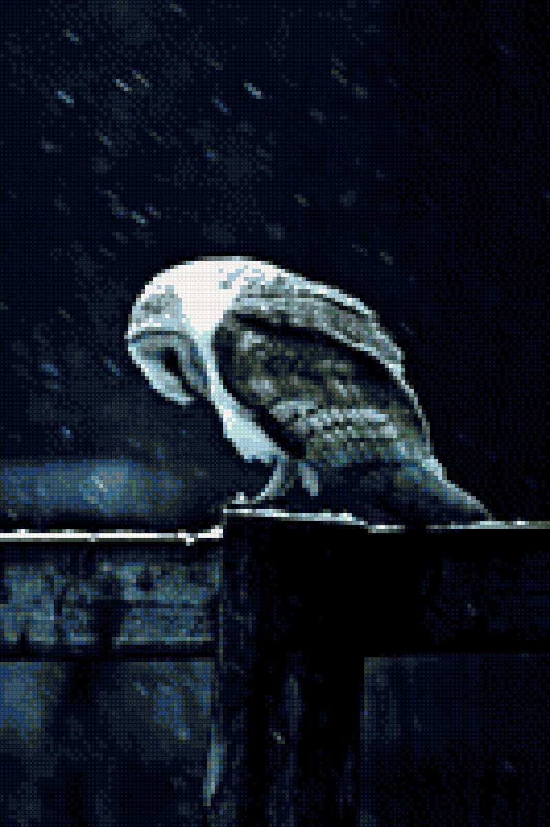 совушка - предпросмотр