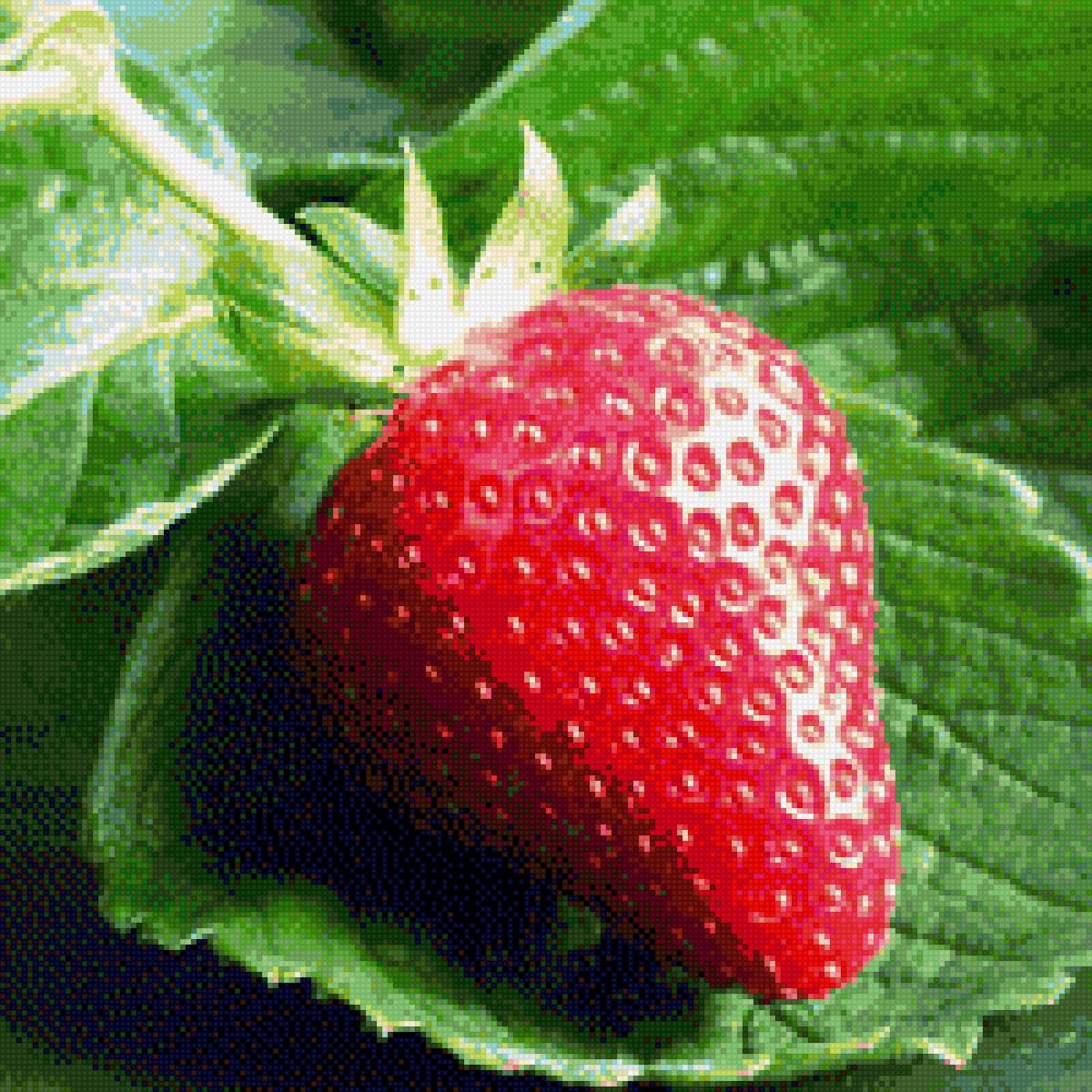 Клубника - ягоды, клубника - предпросмотр