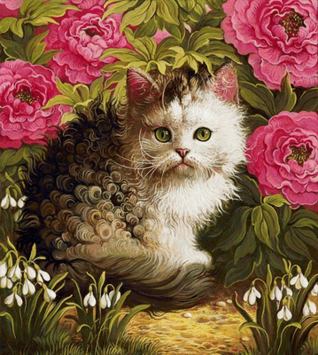 Котенок в цветах - цветы, природа, кошки - предпросмотр