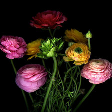 Схема вышивки «цветы»