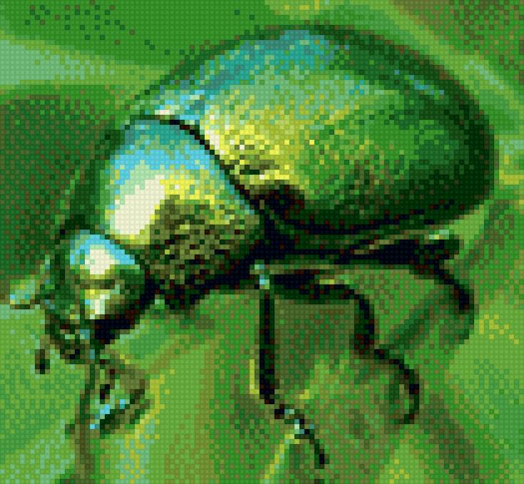 жук 1 - предпросмотр