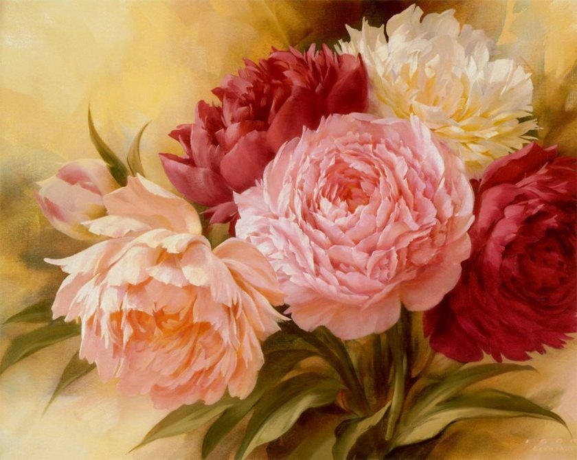 piwonie - оригинал