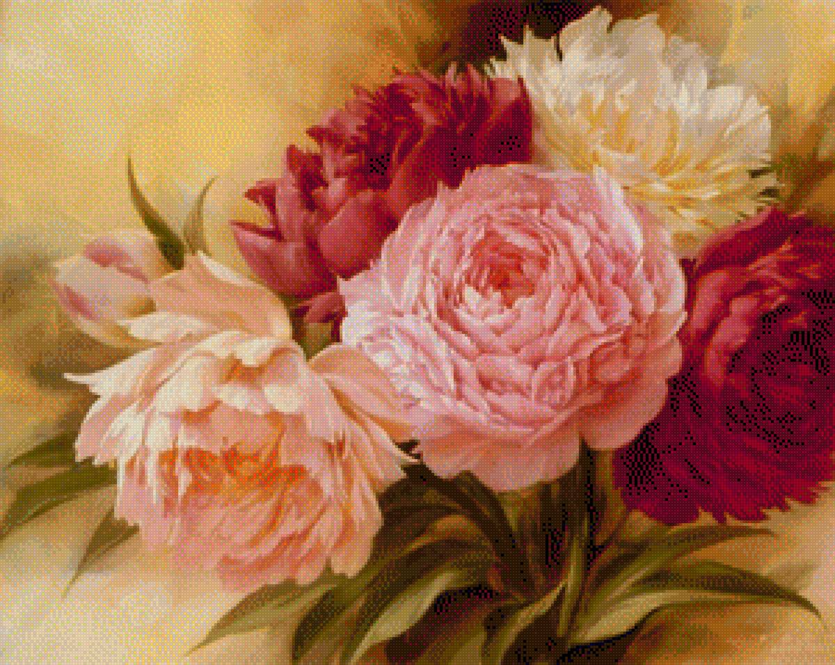 piwonie - предпросмотр