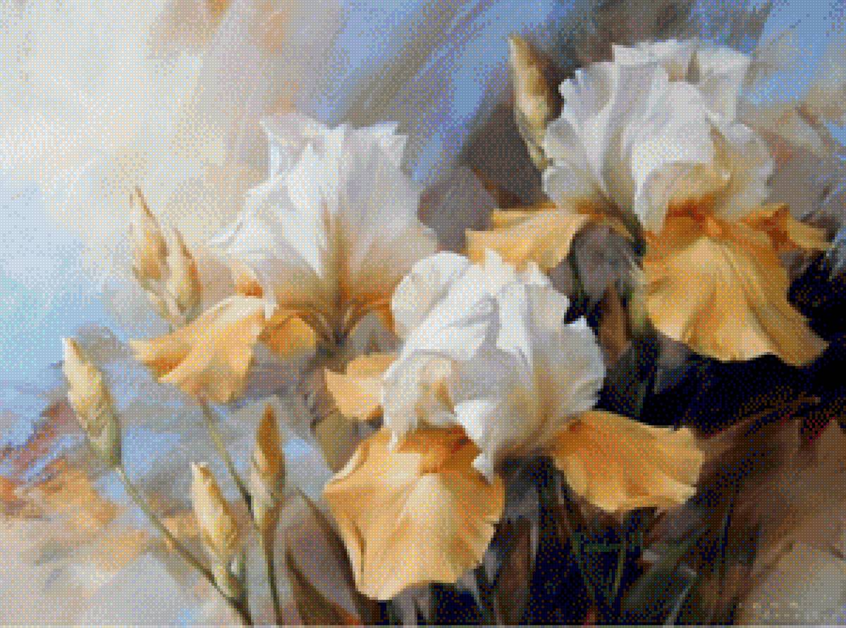 żółte irysy - предпросмотр