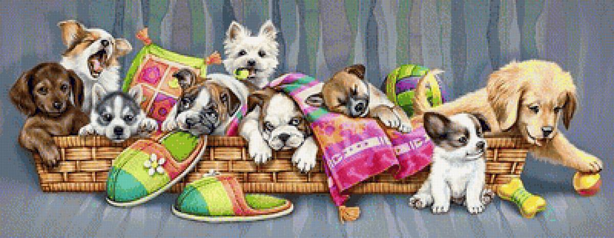 №1480399 - предпросмотр