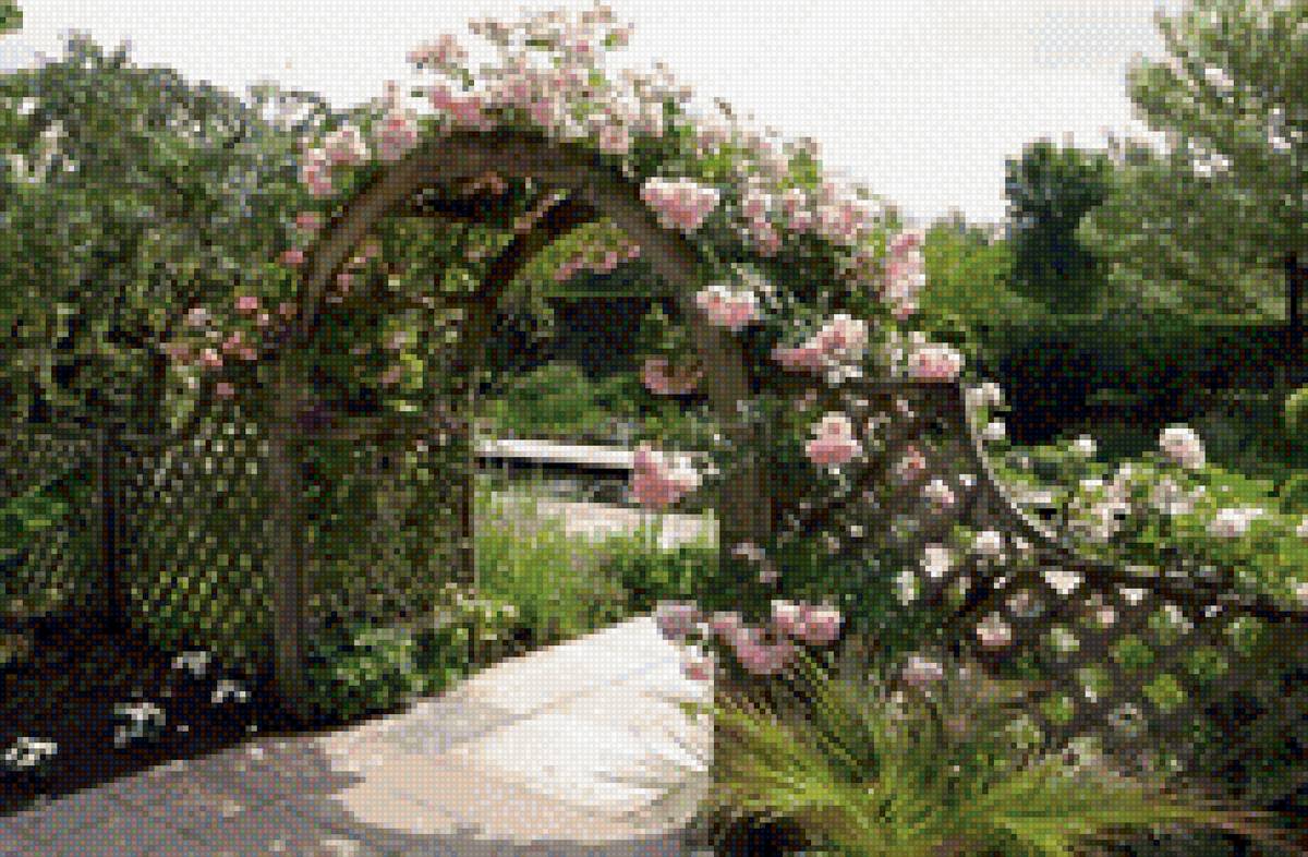 Розы на плетне 2 - розы забор - предпросмотр