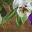 Предпросмотр схемы вышивки «Анютки» (№1480869)