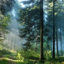 Схема вышивки «Пейзаж»