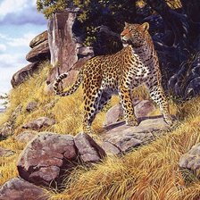 Схема вышивки «Леопард»