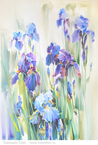 irysy - оригинал