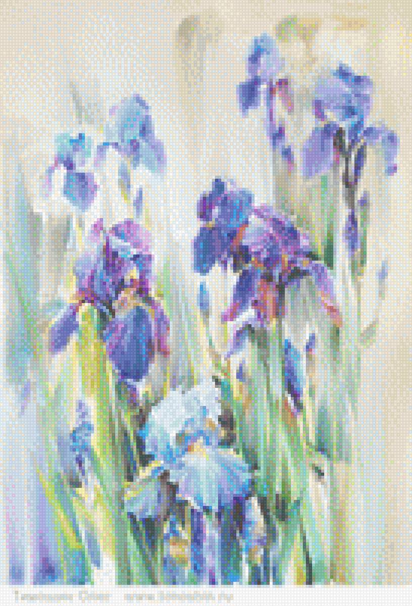 irysy - предпросмотр