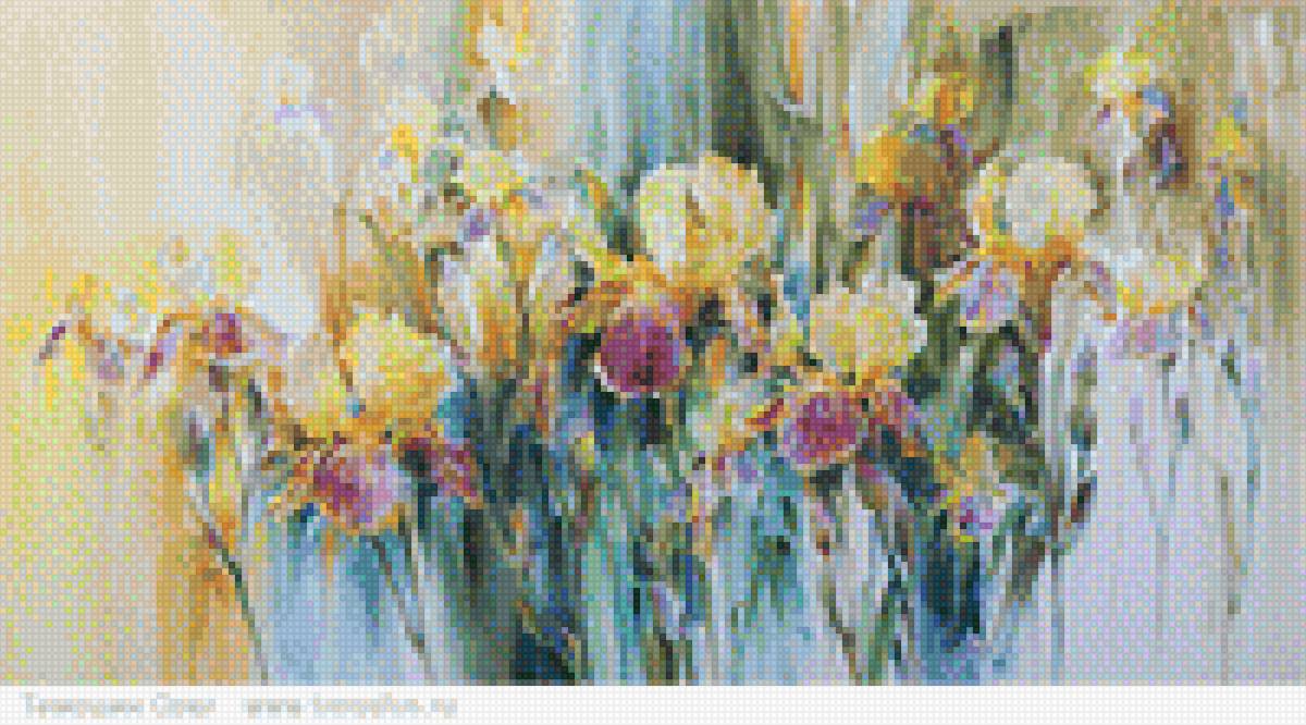 irysy - предпросмотр