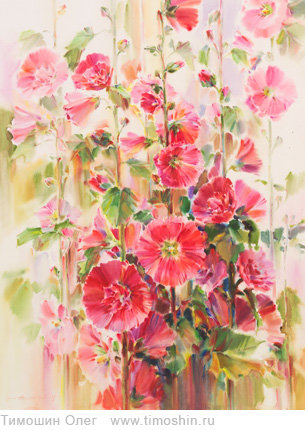 malwy - оригинал