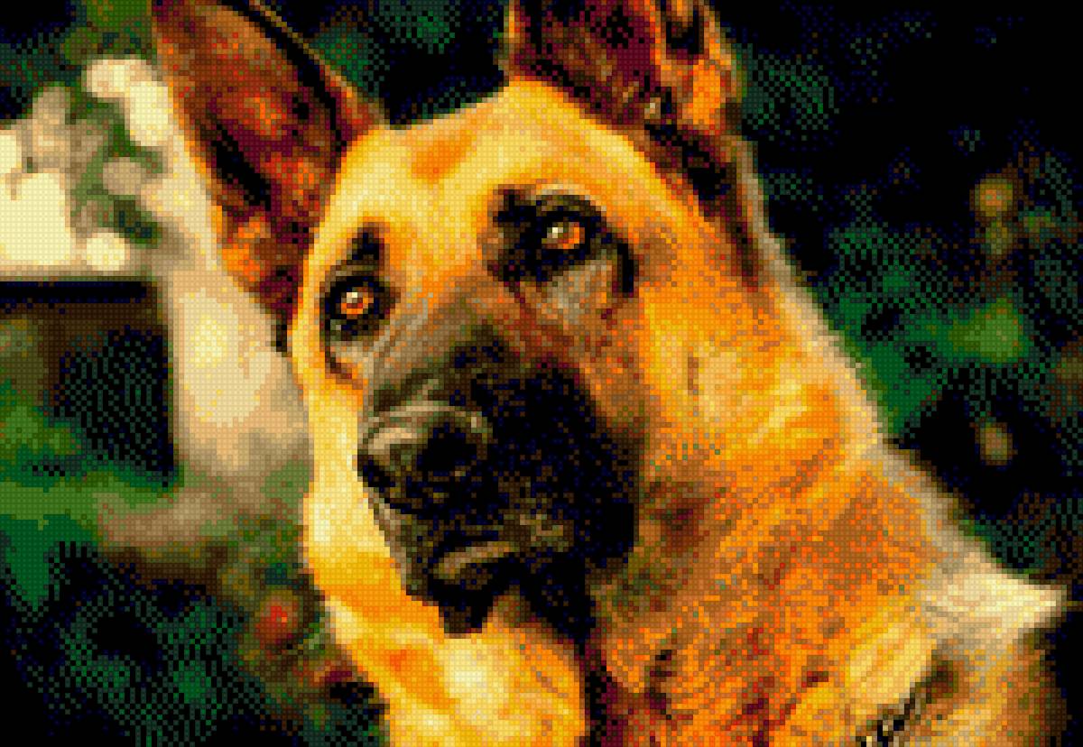 pastor aleman - предпросмотр