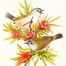 Схема вышивки «№1483387»