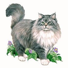 шикарный кот