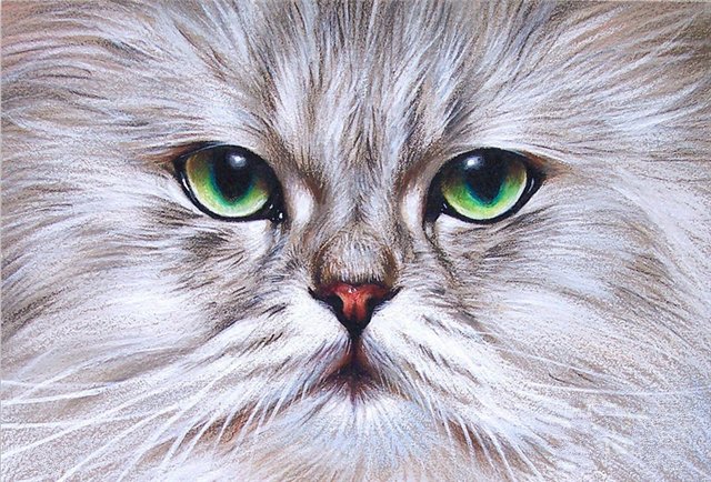 зеленые глаза - оригинал