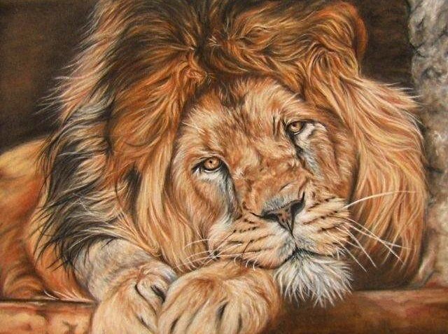 король-лев - хищники, лев - оригинал