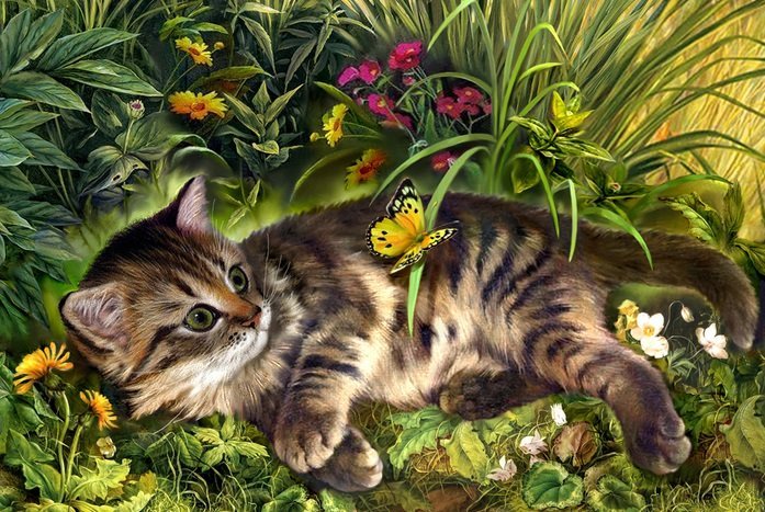 котейка 1 - оригинал