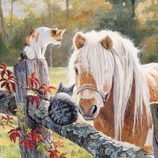 котики и лошадь