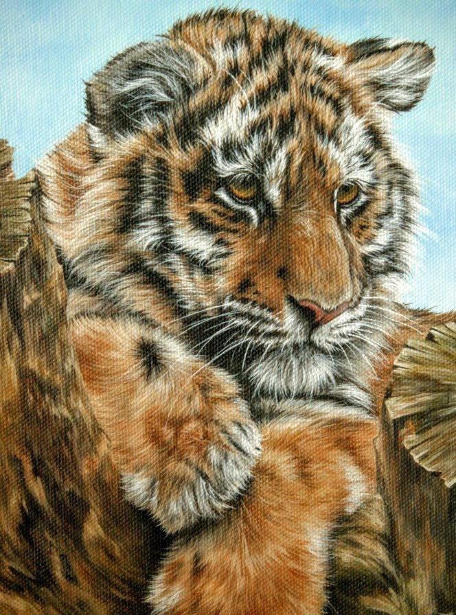 тигренок - оригинал