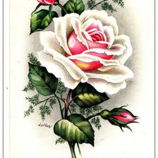 Оригинал схемы вышивки «роза» (№1484482)