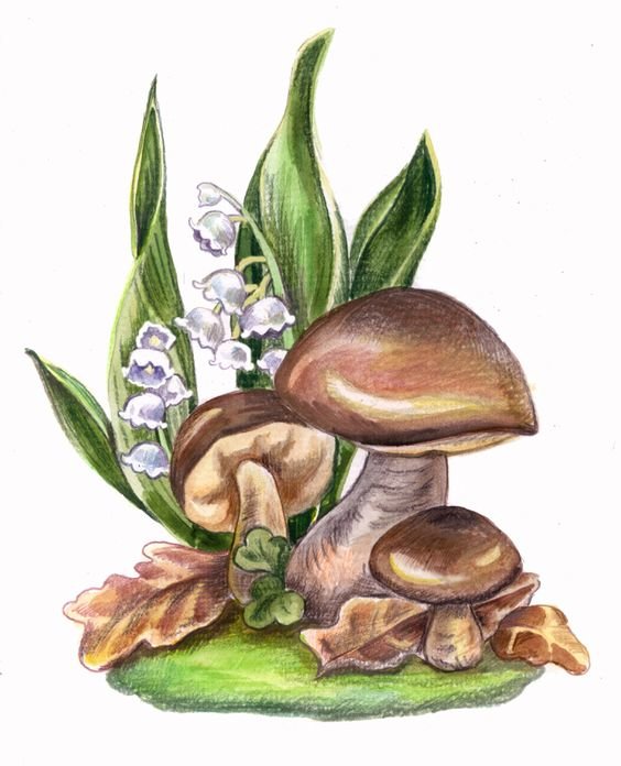 гриб под ландышем - грибы, цветы - оригинал