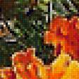 Предпросмотр схемы вышивки «Осенний натюрморт.» (№1484602)