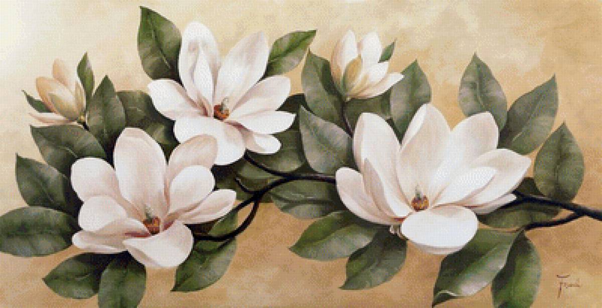 Ветка с белыми цветами - белые цветы, цветы - предпросмотр