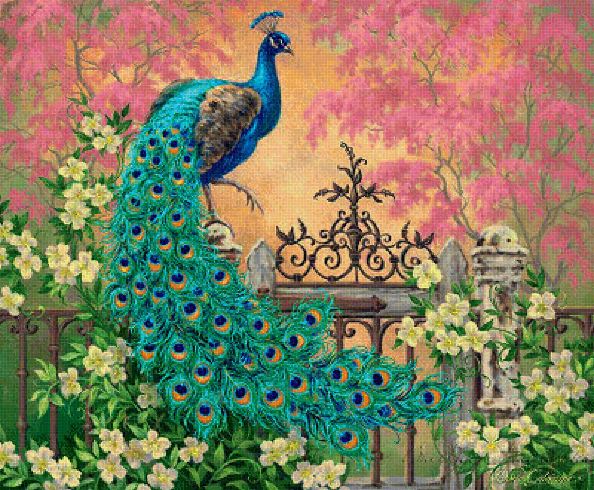 Мир птиц - арт, павлин, птица - предпросмотр