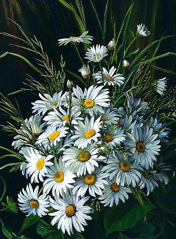 ромашка2 - оригинал