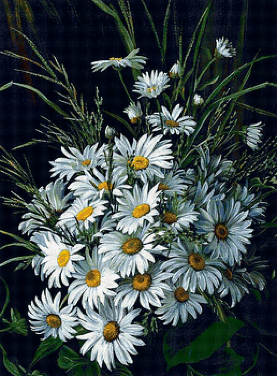 ромашка2 - предпросмотр