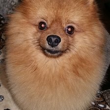 Схема вышивки «Кузьма»