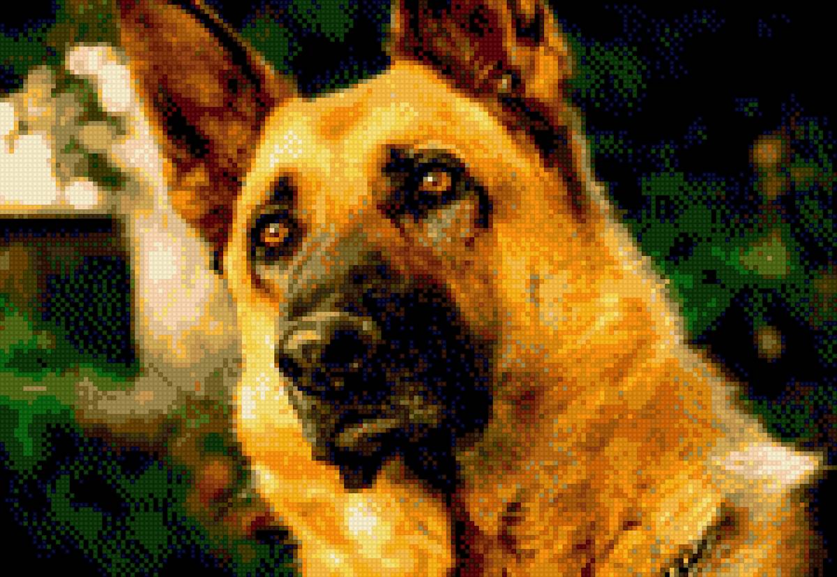 Pastor alemán anchor - предпросмотр