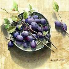 Shin Jong Sik. Сливы