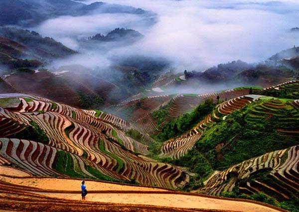 Красота - природа, пейзаж, пустыня - оригинал