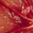Предпросмотр схемы вышивки «Грейпфрут» (№1486284)